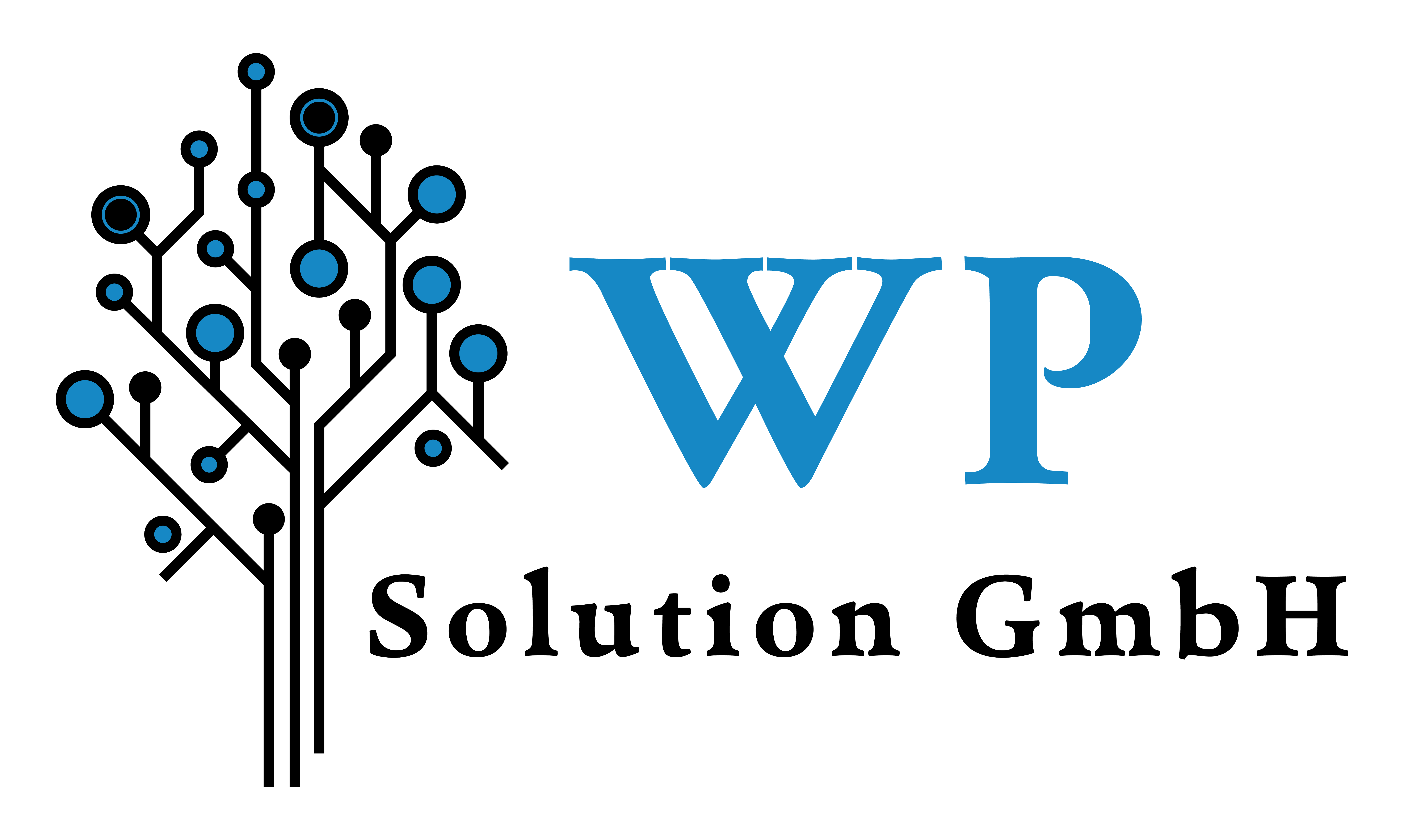 IT Services & Beratung von WP Solution GmbH